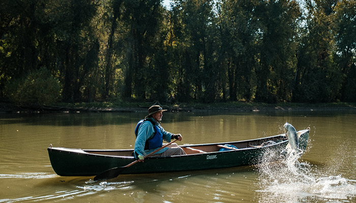 Check for Down the Duck With John Guider airing on a public television station near you!